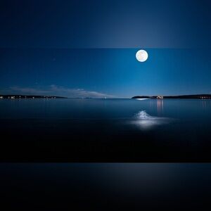 Meet your Posher, Qing